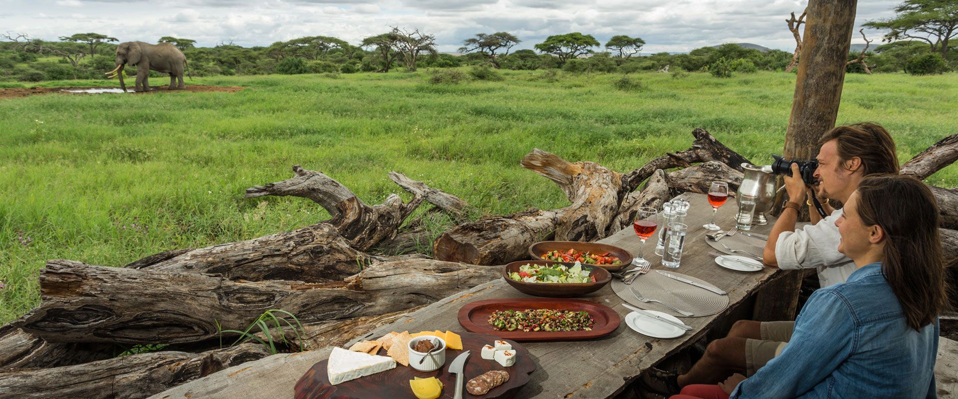 Budget Friendly Safari 